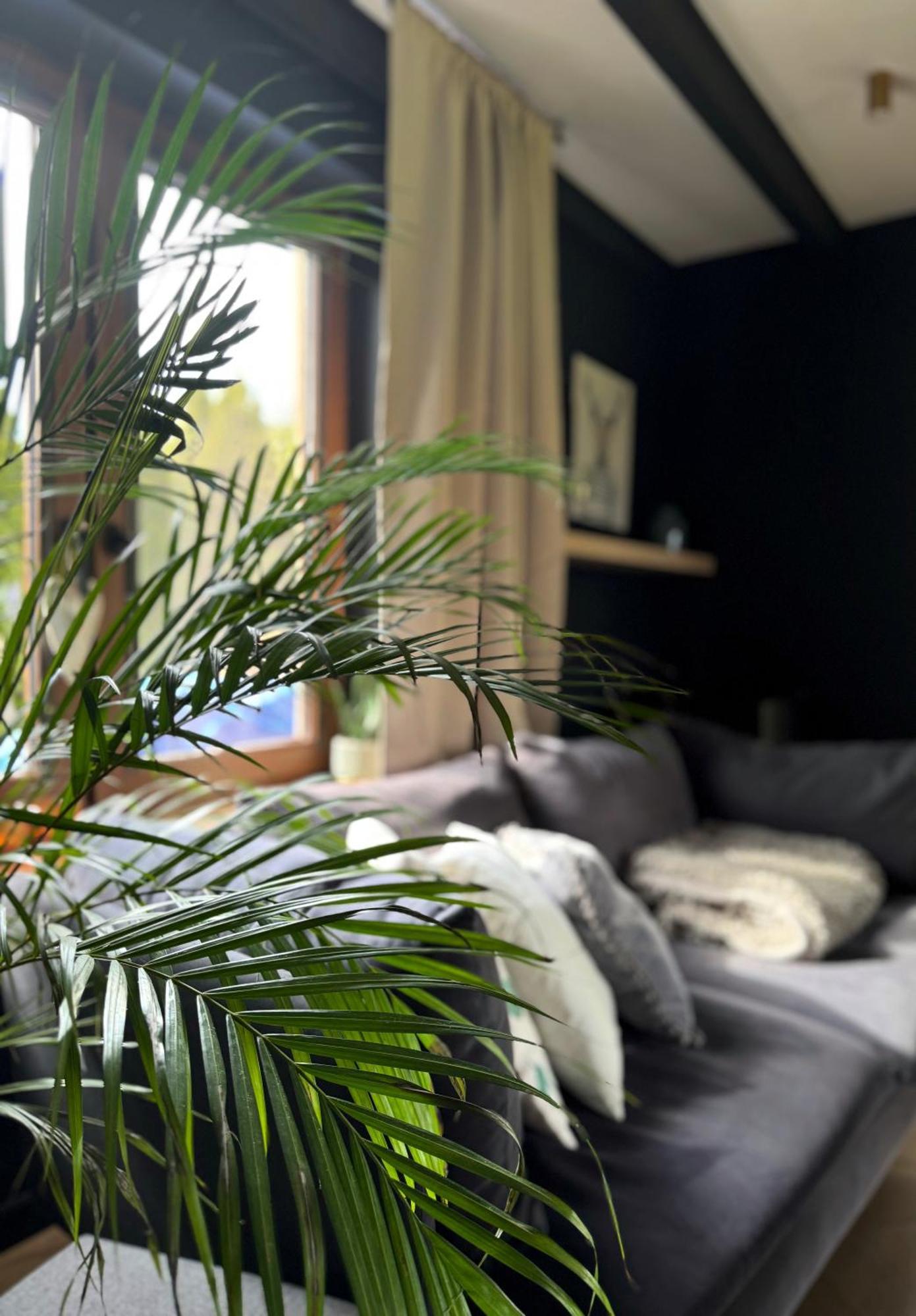 House Of Nature Radawka Bagian luar foto